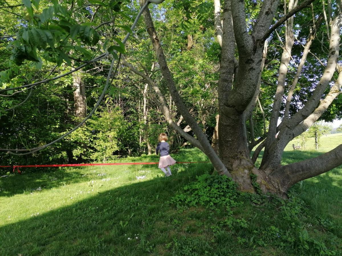 5Sterne Ferienwohnung Im Fachwerk Mit Bergblick In Alleinlage Und Grossem Garten, Infrarotkabine Humberg Luaran gambar