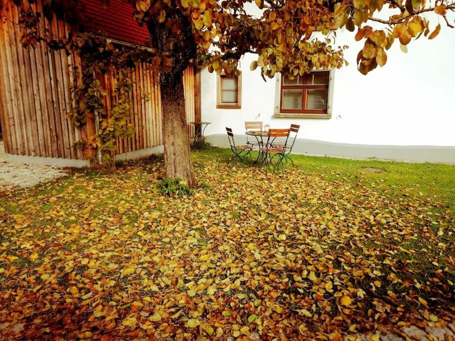5Sterne Ferienwohnung Im Fachwerk Mit Bergblick In Alleinlage Und Grossem Garten, Infrarotkabine Humberg Luaran gambar