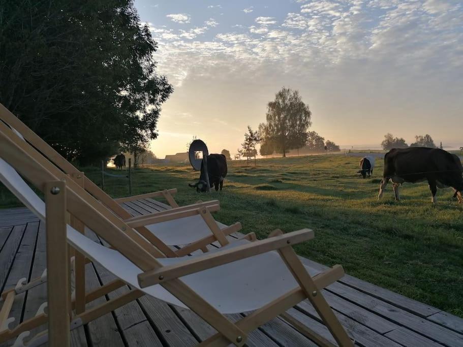 5Sterne Ferienwohnung Im Fachwerk Mit Bergblick In Alleinlage Und Grossem Garten, Infrarotkabine Humberg Luaran gambar