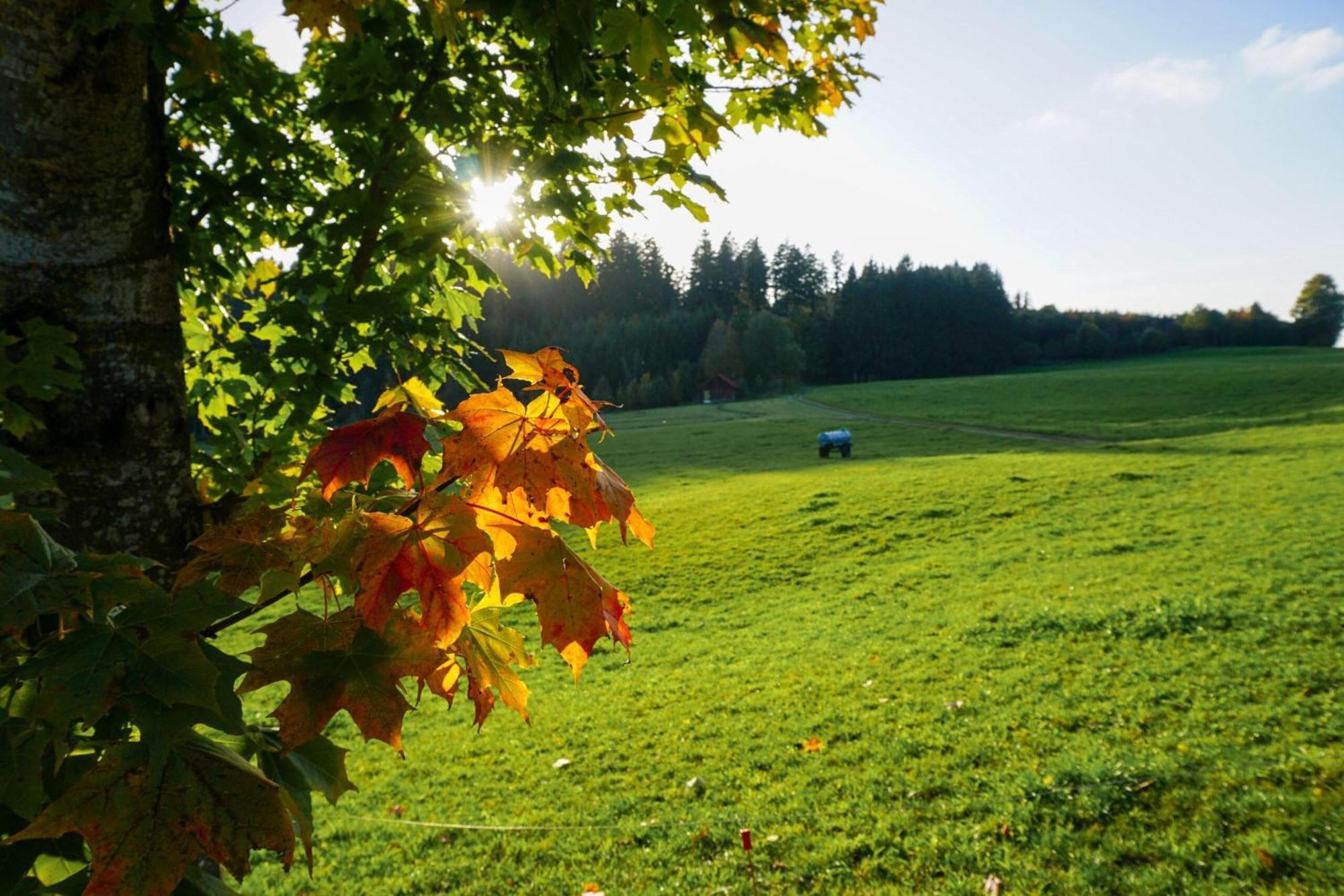 5Sterne Ferienwohnung Im Fachwerk Mit Bergblick In Alleinlage Und Grossem Garten, Infrarotkabine Humberg Luaran gambar